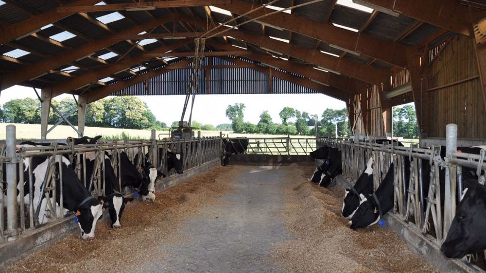 Sanders s'apprête à racheter les activités nutrition animale d'Axéréal. (©Terre-net Média)