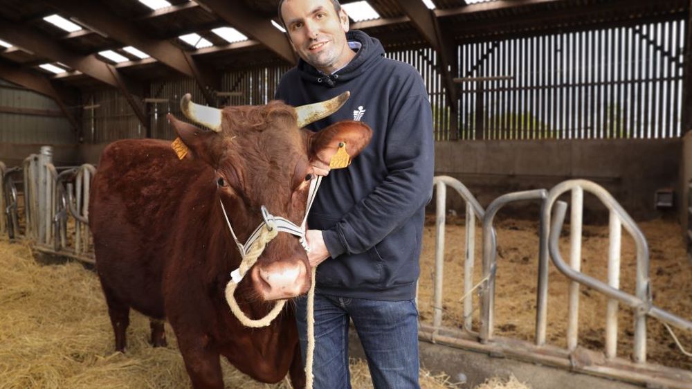 En remportant le prix pour l'agrobiodiversité animale, Christophe Lebret va bénéficier d'une dotation lui permettant de promouvoir encore davantage la race armoricaine. (©Ceva)