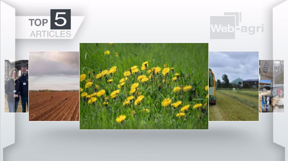 Articles les plus lus sur Web-agri cette semaine. (©Terre-net Média)