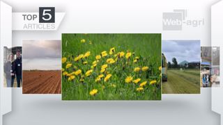 Articles les plus lus sur Web-agri cette semaine. (©Terre-net Média) Articles les plus lus sur Web-agri cette semaine. (©Terre-net Média)