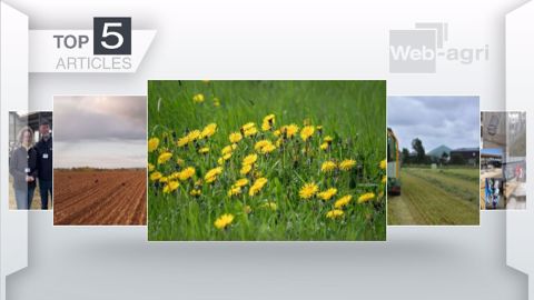 Articles les plus lus sur Web-agri cette semaine. (©Terre-net Média) Articles les plus lus sur Web-agri cette semaine. (©Terre-net Média)
