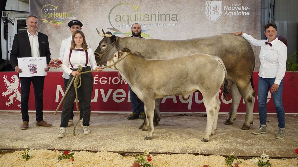 Laure, Grande championne suitée, avec Trésor, son veau. (©Pierre Frei)