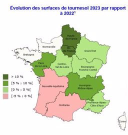 Évolution des surfaces de tournesol 2023 par rapport à 2022