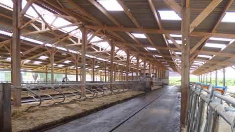 Toiture en bois avec ouvertures pour la luminosité du bâtiment d'élevage