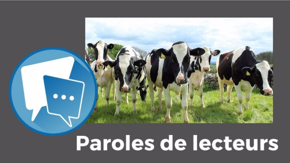 Et vous, comment avez-vous réagi ? Dites-le-nous en commentaires ! (©Terre-net Média)