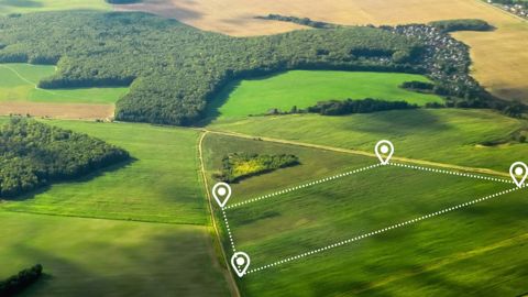 Les aides découplées en faveur des agriculteurs actifs hors écorégimes sont définies dans un décret paru dans le cadre du plan stratégique de la Pac (©@Adobestock) Les aides découplées en faveur des agriculteurs actifs hors écorégimes sont définies dans un décret paru dans le cadre du plan stratégique de la Pac (©@Adobestock)