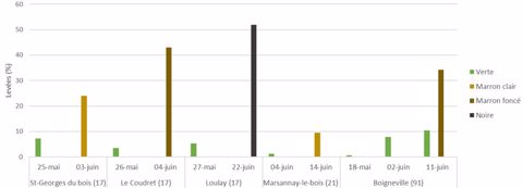 Levées de folle-avoine en fonction de la date de prélèvement– Conditions semi-contrôlées en pots Levées de folle-avoine en fonction de la date de prélèvement– Conditions semi-contrôlées en pots