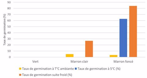 Taux de germination de graines de folle-avoine en fonction de leur couleur à 5°C ou à température ambiante après un passage au froid Taux de germination de graines de folle-avoine en fonction de leur couleur à 5°C ou à température ambiante après un passage au froid