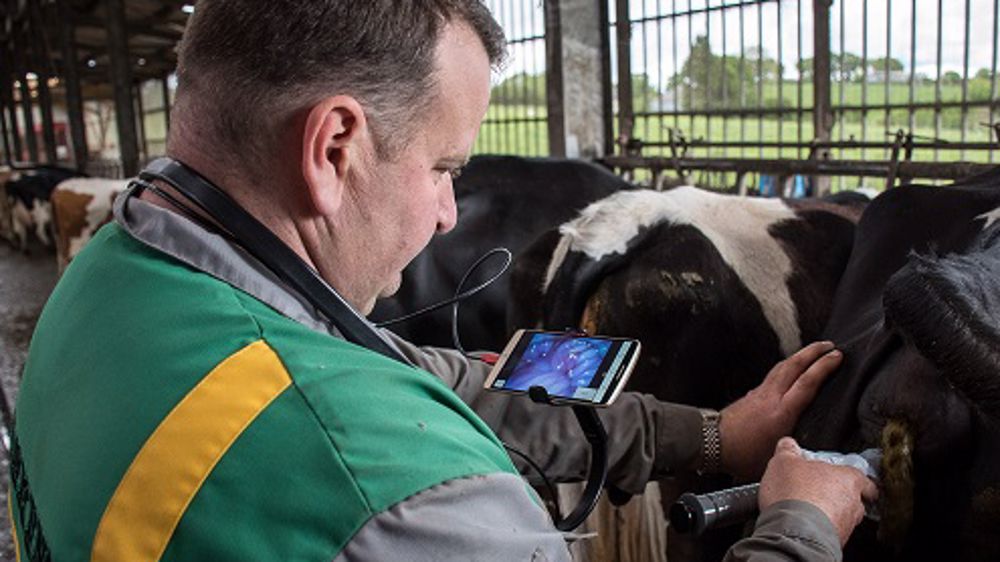 « Grâce à la caméra, je suis sûr de déposer la semence au bon endroit. »