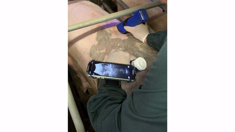 Pourquoi faire mes échographies ?