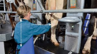 10 points-clés pour optimiser le confort de l’opérateur à la traite 10 points-clés pour optimiser le confort de l’opérateur à la traite