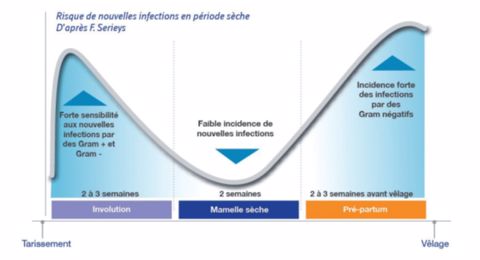Infographie risque de nouvelles infections