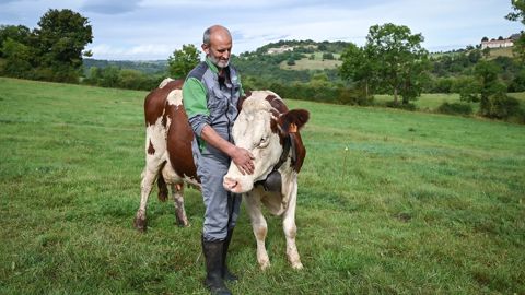 « Ils aident à garder un taux cellulaire bas, j’en suis sûr et certain ! »