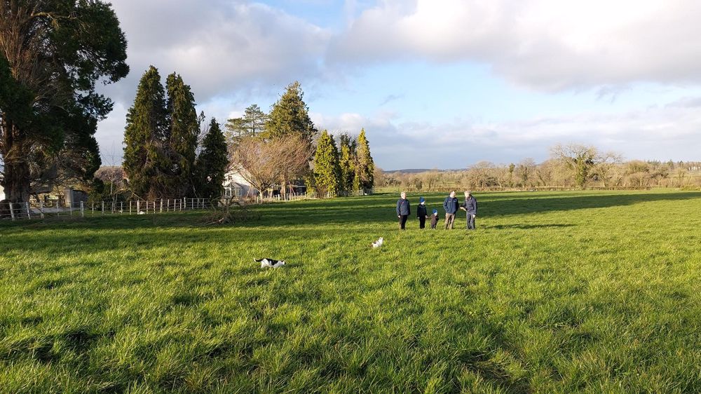 Parce qu’il est riche en lait, Elvor performance fait la différence en Irlande