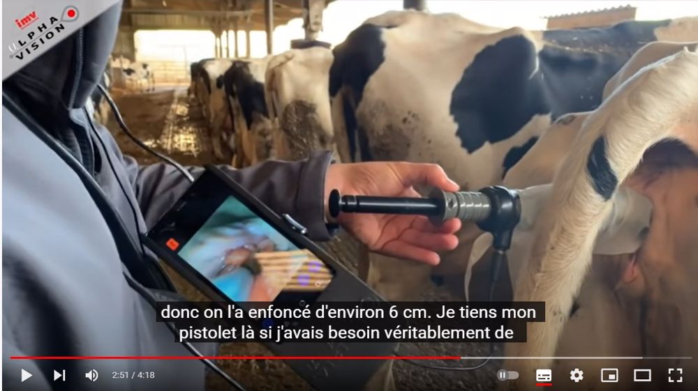 Alphavision, pour les éleveurs qui veulent inséminer