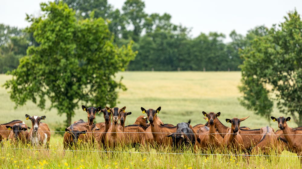 Adapter les équipements aux spécificités morphologiques