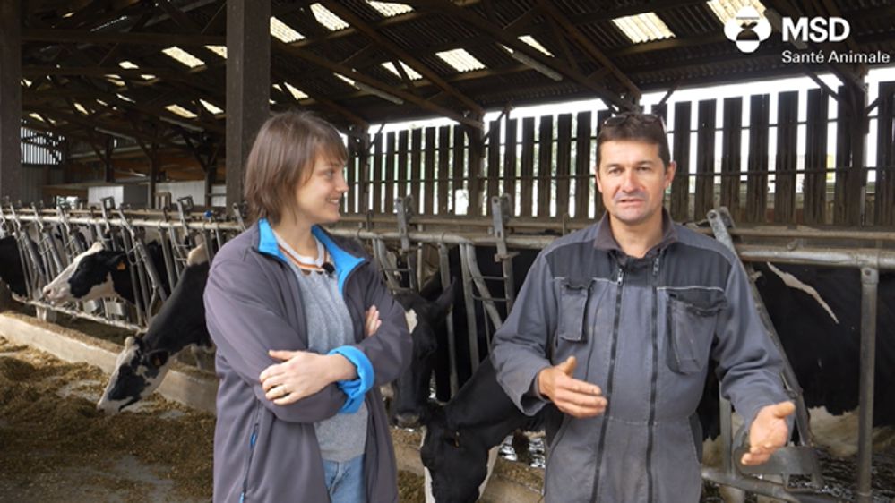 Avec l’outil digital Venotis, prévenir plutôt que guérir