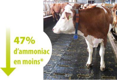 fentes sur caillebotis