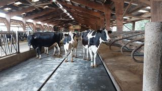 La gamme de produits KRAIBURG pour les aires d’exercice