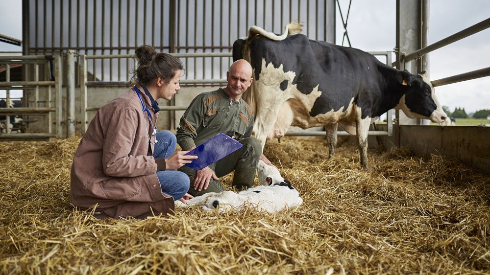 Une supplémentation en oligo-éléments améliore l’efficacité des vaccins Une supplémentation en oligo-éléments améliore l’efficacité des vaccins