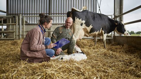 Une supplémentation en oligo-éléments améliore l’efficacité des vaccins