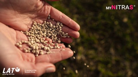 Quel est l’intérêt d’une fertilisation soufrée en complément de l’azote ?