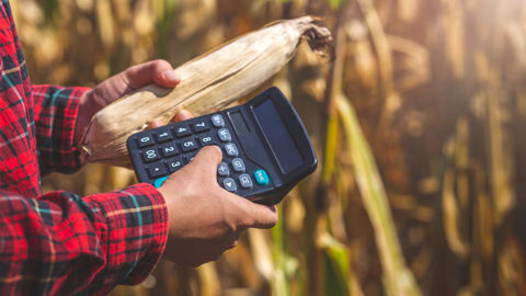 Les biosolutions préservent la marge des maïsiculteurs face aux aléas du climat Les biosolutions préservent la marge des maïsiculteurs face aux aléas du climat