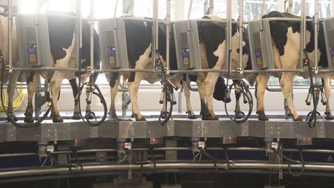 Quels équipements pour alléger sa facture d’énergie ?