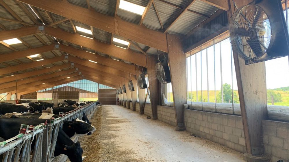 PENDANT LES PÉRIODES ESTIVALES... MAIS PAS QUE !