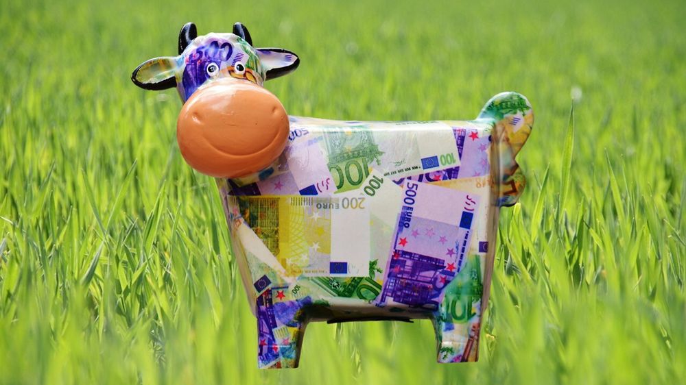 Vache tirelire