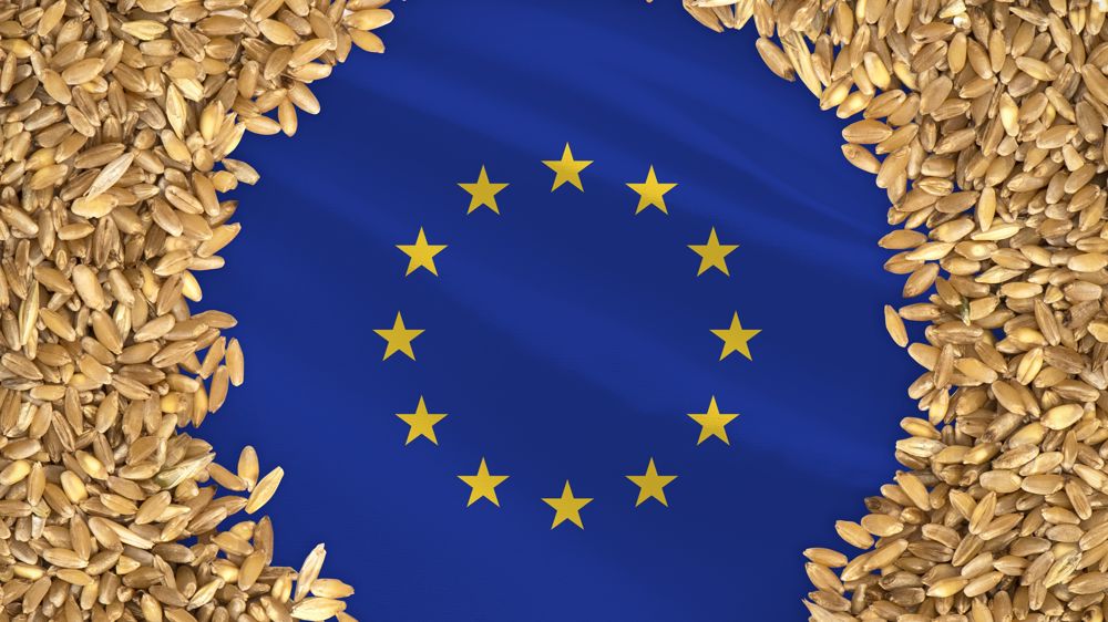Le bulletin Mars de la Commission européenne estime pour l'instant les rendements des céréales en hausse de 3 % par rapport à la moyenne quinquennale, à 55,2 q/ha.