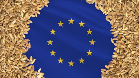 Le bulletin Mars de la Commission européenne estime pour l'instant les rendements des céréales en hausse de 3 % par rapport à la moyenne quinquennale, à 55,2 q/ha. Le bulletin Mars de la Commission européenne estime pour l'instant les rendements des céréales en hausse de 3 % par rapport à la moyenne quinquennale, à 55,2 q/ha.