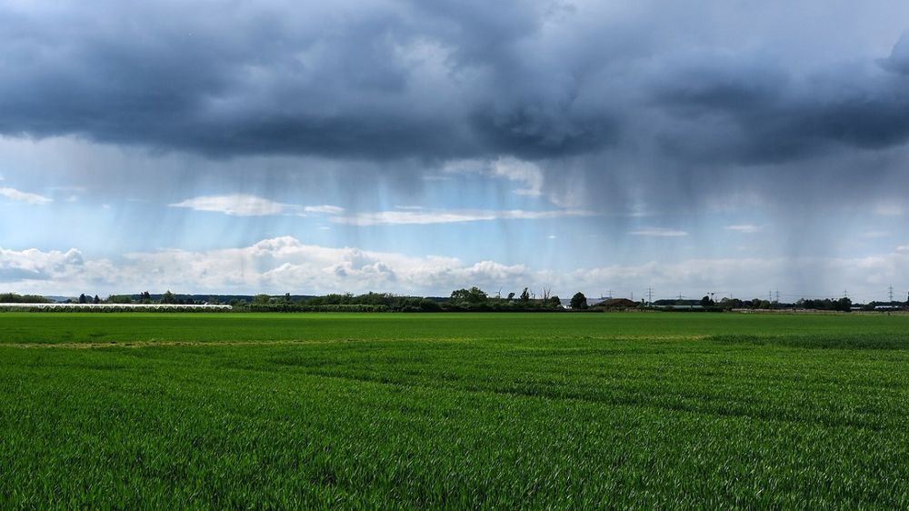 Les récentes pluies en France ont bénéficié aux cultures de printemps.