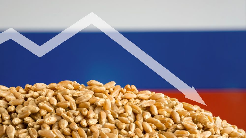 Le blé russe poursuit son mouvement baissier engagé depuis le début de la campagne 22/23, accentuant sa compétitivité sur le marché mondial.