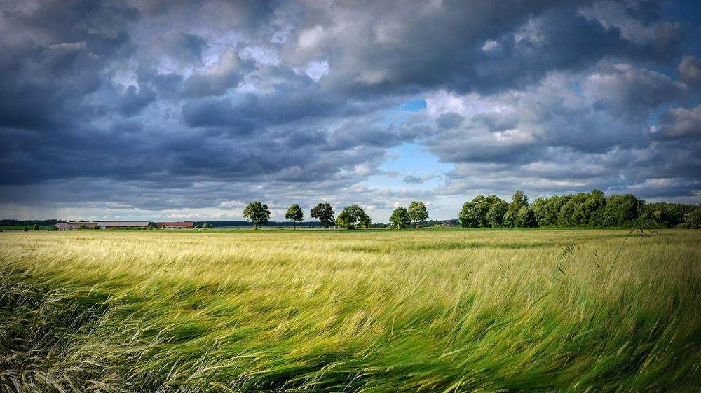 La Commission européenne a adopté le 5 juillet un nouveau règlement pour les NGT.