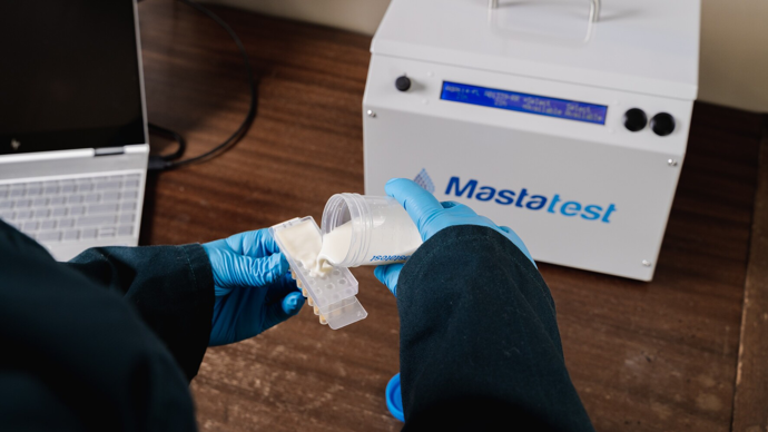 Si votre clinique vétérinaire en est équipée, apportez votre échantillon de lait en cas de suspicion de mammite clinique, il sera analysé par l'outil Mastatest.