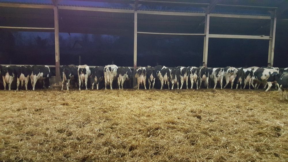 Les eurodéputés se sont prononcés en faveur du maintien de la législation actuelle sur les seuils maximaux d'émissions polluantes. 