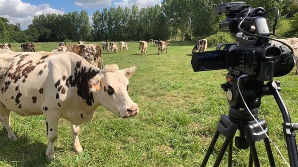 Si le poste de journaliste élevage pour Web-agri t'intéresse, envoie ta candidature à recrutement@gfa.fr et dscohy@terre-net-media.fr