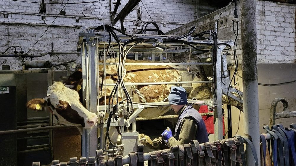 Cage de parage Anka Core