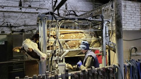 La cage peut s'élever à 63 cm de haut via un système hydraulique. La cage peut s'élever à 63 cm de haut via un système hydraulique.