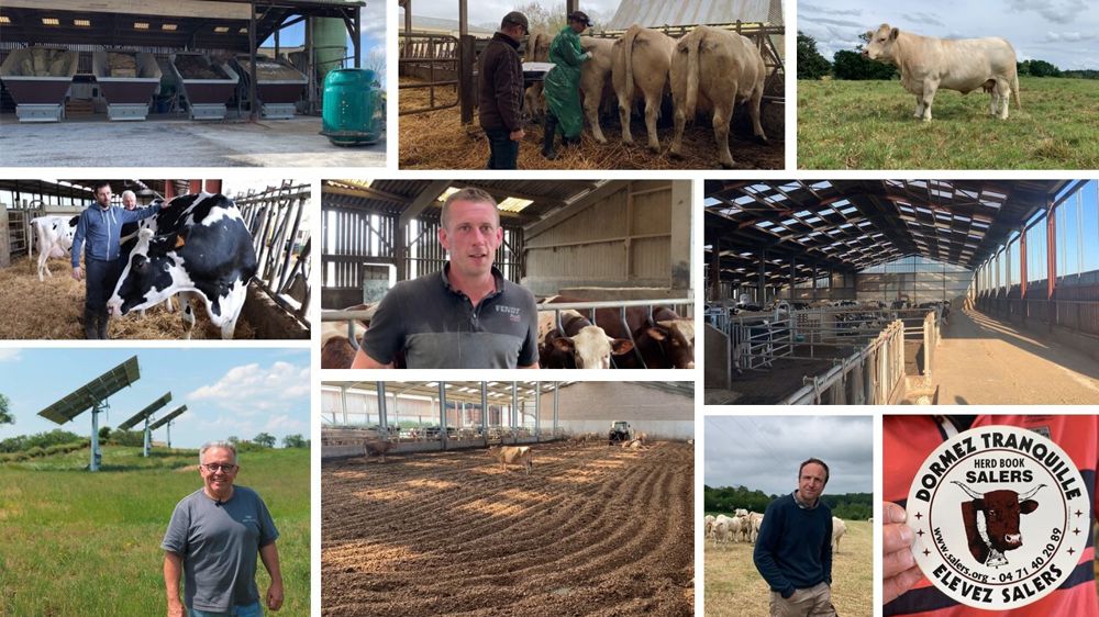 Du lait, de la viande, de l'équipement ou des sujets techniques : il y en a pour tous les goûts dans cette sélection de reportages en élevage.