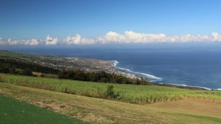 Vous imaginez-vous élever des vaches laitières à La Réunion ? Vous imaginez-vous élever des vaches laitières à La Réunion ?