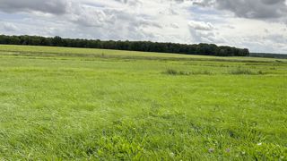 En Moselle, chez Louise, c'est l'heure de faucher les regains en cette fin août. En Moselle, chez Louise, c'est l'heure de faucher les regains en cette fin août.