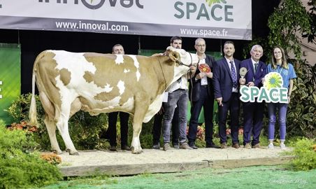 Mylée, grande championne du challenge européen Simmental Mylée, grande championne du challenge européen Simmental