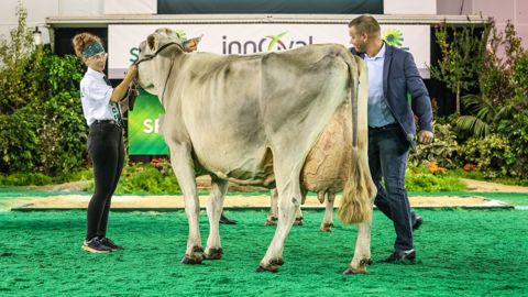 Le concours Brune au Space aura lieu ce mardi 13 septembre 2023 de 16h45 à 17h30. Le concours Brune au Space aura lieu ce mardi 13 septembre 2023 de 16h45 à 17h30.