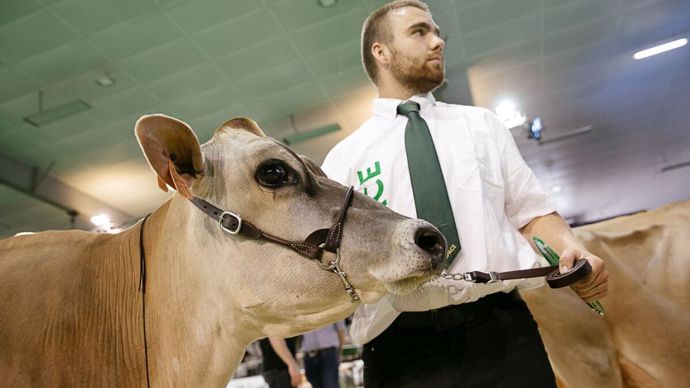 Après un concours national en 2022, la Jersiaise revient ce jeudi 14 septembre au Space pour son concours interrégional.
