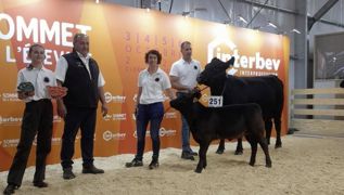 Rosa est la championne du concours Angus 2023 au sommet de l'élevage Rosa est la championne du concours Angus 2023 au sommet de l'élevage