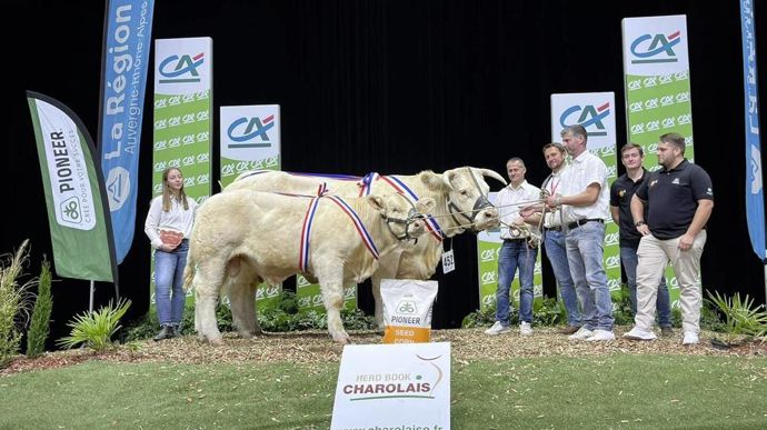 Nefertiti remporte le prix de championnat femelle du concours Charolais du Sommet de l'élevage 2023.