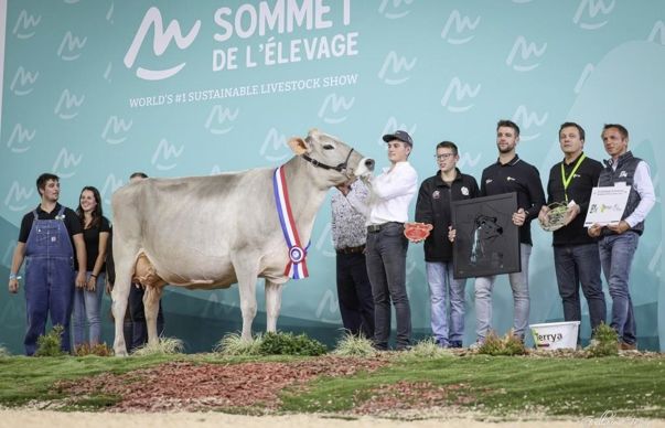 O-Fililng est grande championne du concours Brune du Sommet de l'élevage 2023.