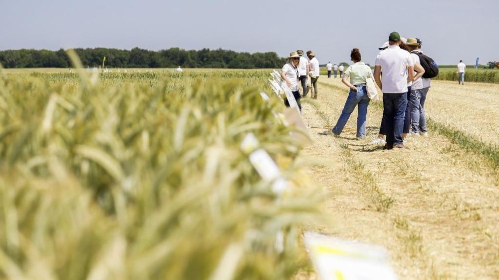 Plateforme Openfield